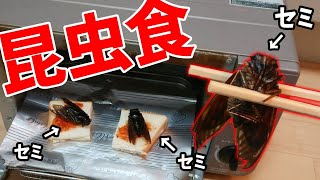 無名参加キッズから捕まえたセミを食べる昆虫食のヤバい動画がきた - マインクラフト【KUN】