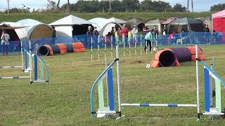 2022/10/09 ケイ ビギナー２　JKC 東京都下アジリティークラブ アジリティー競技会（吉見総合運動公園）