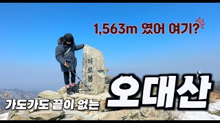 ❄️등산초보의 눈 덮힌 오대산(비로봉, 상왕봉) 첫겨울산행_아이젠과의 첫만남❄️