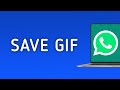 How to Save A Gif on WhatsApp On PC App (New Update)