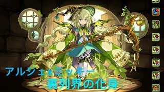 裹列界の化身　森奥の大魔女・アルジェXミッキー＆フレンズ【パズドラ】