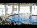 アクアワールド茨城県大洗水族館　イルカ・アシカ　オーシャンライブ　2022.08.07　10 00～