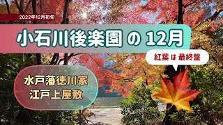 小石川後楽園【水戸藩徳川家の上屋敷】紅葉は最終盤