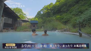 【4K】２月のセレクション【2022年】