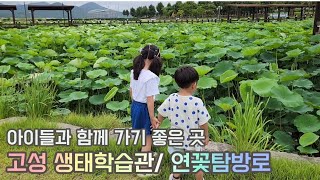 [일상vlog] 오늘은 어디가지? 아이와 함께 고성여행 | 고성 생태학습관 | 고성 연꽃탐방로