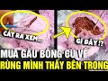 Mua 'THÚ BÔNG CŨ' về dùng, cô gái rùng mình khi tưởng 'TRỨNG GẤU BÔNG' bên trong | Tin Nhanh 3 Phút