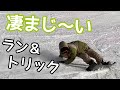 【ラントリ】NOAH  / ARKS ID-x 158.5🏂いっちー📍高鷲スノーパーク【スノーボード】