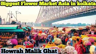 Asia's biggest flower market|Mallick Ghat \u0026 Jagannath Ghat Flower Market Howrah|Howrah Mullick|