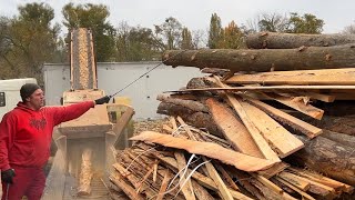 Wood Chipper Marathon: Real-Time Destruction LIVE!