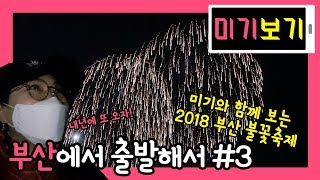 [미기보기] 부산에서 #3 광안리 불꽃축제 다녀온 미기 \u0026 TKR