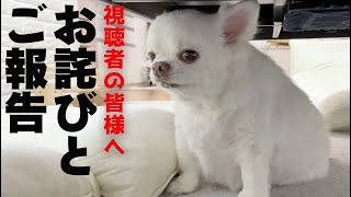 視聴者の皆様へお詫びとご報告。しばらく不定期投稿になります。