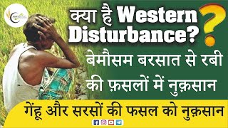 क्या है Western Disturbance? | बेमौसम बरसात से रबी की फ़सलों में नुक़सान