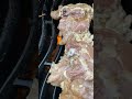 pollo a la brasa or peruvian chicken is a dish of roast chicken grilling shortvideo shorts