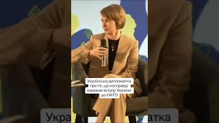 Лана Зеркаль про те, що насправді заважає вступу України до НАТО #війна