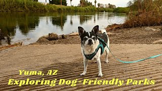 Exploring Dog Friendly Parks in Yuma, AZ | Minivan Camping Adventures | Van Life