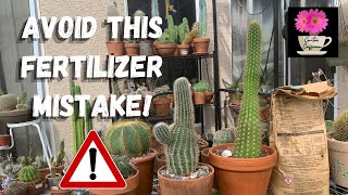 What Incorrect Fertilizing Can Do to Your Cactus | Fertilizing Cacti