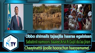 ETHIOPIA:NESTTV:Sababnii namooni baalee,Arsii fi Gujii du’aa jiran