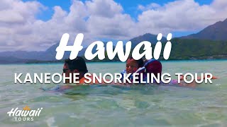 Day On The Bay Picnic Sail | Kaneohe Snorkeling Tour