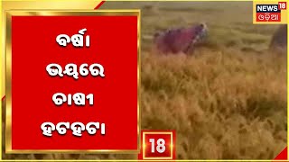 Puri Cyclone Fear: ପୁଣି ଚାଷୀଙ୍କୁ ଦାଉ ସାଧିଲା ଦୈବୀ ଦୁର୍ବିପାକ ଭୟ,ଘାଟାରେ ପଡିଲେ ପୁରୀ ଜିଲ୍ଲାର ଚାଷୀ