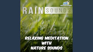 Relaxing Meditation with Nature Sounds