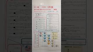 由利本荘市 障害年金の更新時期 統合失調症（通院以外は外出不可能） 2級 認定された等級 #shorts