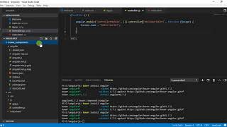How to create your first angularjs app