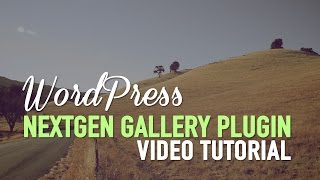 WordPress Gallery Plugin - NextGEN Gallery Plugin
