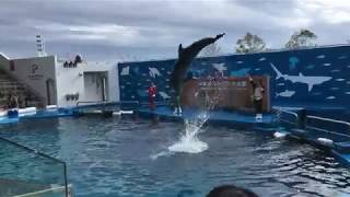 仙台うみの杜水族館 2018