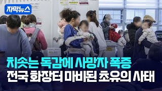 [자막뉴스] 치솟는 독감에 사망자 폭증... 전국 화장터 마비된 초유의 사태 / 강스라이팅