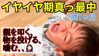 【イヤイヤ期】癇癪がひどい2歳児の息子のお話し。我が家の接し方など。