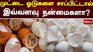 முட்டை ஓடுகளை சாப்பிட்டால் இவ்வளவு நன்மைகளா? | Egg shell | Web Special | Sathiyam Tv