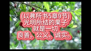 (以弗所书5章9节)2025年1月9日星期四（认真听读版）#每日背一节经文