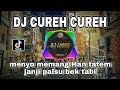 DJ CUREH CUREH - MENYO MEMANG HAN TATEM JANJI PALSU BEK TABI REMIX VIRAL TIKTOK TERBARU 2022
