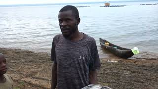 Lualaba Delcommune Lake, Katebe, near Kolwezi, Little Tilapia, Congo, Central Africa, 2024, by HbS