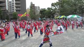 Summer Zipper（2013深川よさこい祭り・深川公園会場）