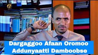 Dargaggoo Afaan Oromoo Addunyaatti Damboobse