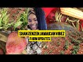 SHAN ZENZEN JAMAICAN VIBEZ FARM UPDATES