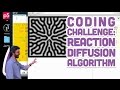 Coding Challenge #13: Reaction Diffusion Algorithm in p5.js