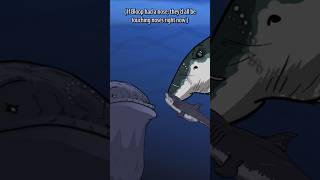 Bloop interrupts Livyatan VS Megalodon