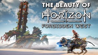 The Beauty of Horizon Forbidden West [4K Graphics Showcase]