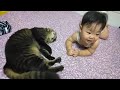 泣いてる赤ちゃんをあやす猫あれから半年2人の様子