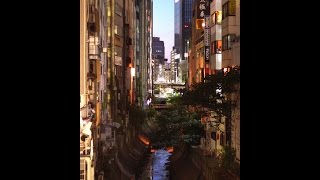 渋谷川 / やなわらばー (作詞・作曲/伊勢正三)弾き語りカバー