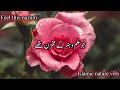 🌟new heart touching nazam 2025 new urdu lyrics nazam 2025 new urdu poetry 2025 islamic nature vibes🌟