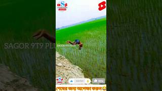 ভিডিও দেখে ১০০% হাসবেন 😂 । Try To Not Smile ।#funny​ #facts​ #comedy​ #shorts​