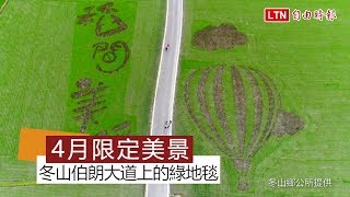 冬山伯朗大道4月空拍美景 宛如鋪在地表的綠地毯