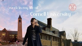 [JPN,ENG] ep. 10 A Week in My Life at Cornell University // コーネル大学生の1週間⛄️