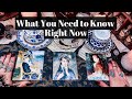 What You Need to Know Right Now - Coffee & Tarot Pick a Card