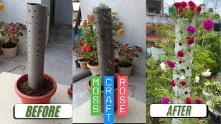 Crafting Moss rose Unique idea Vertical tower chini ful portulaca #craft #crafting