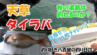 【タイラバ】天草の湯島周辺で秋のタイラバやってきた！真鯛１００枚チャレンジ！