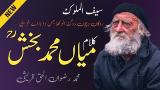 Rogan Vichon Roog Muhammad Kalam Saif ul Malook 2023 | Punjabi | Sufi Kalam By Rizwan ul haq Qureshi